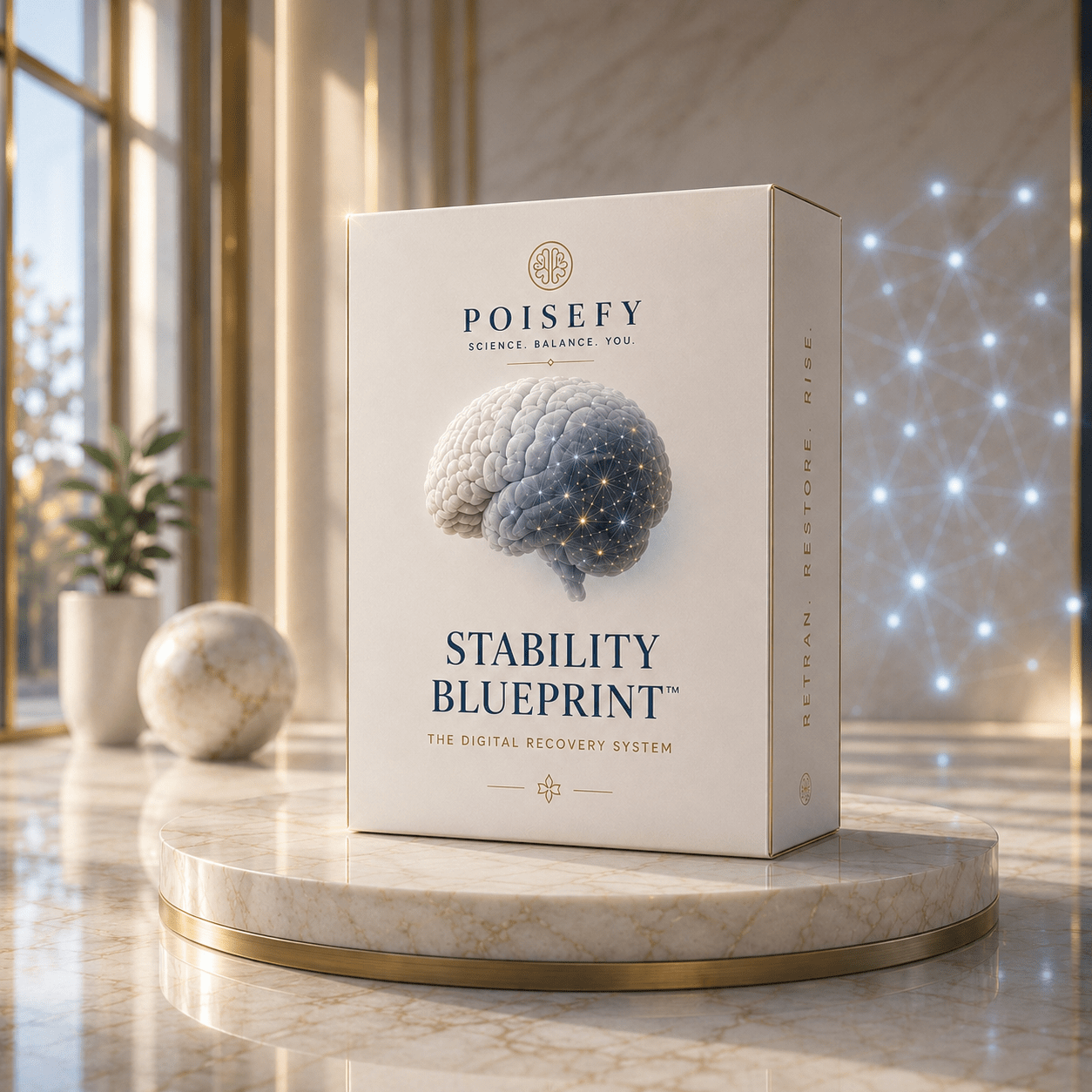 Poisefy: The POTS Stability Blueprint - Poisefy